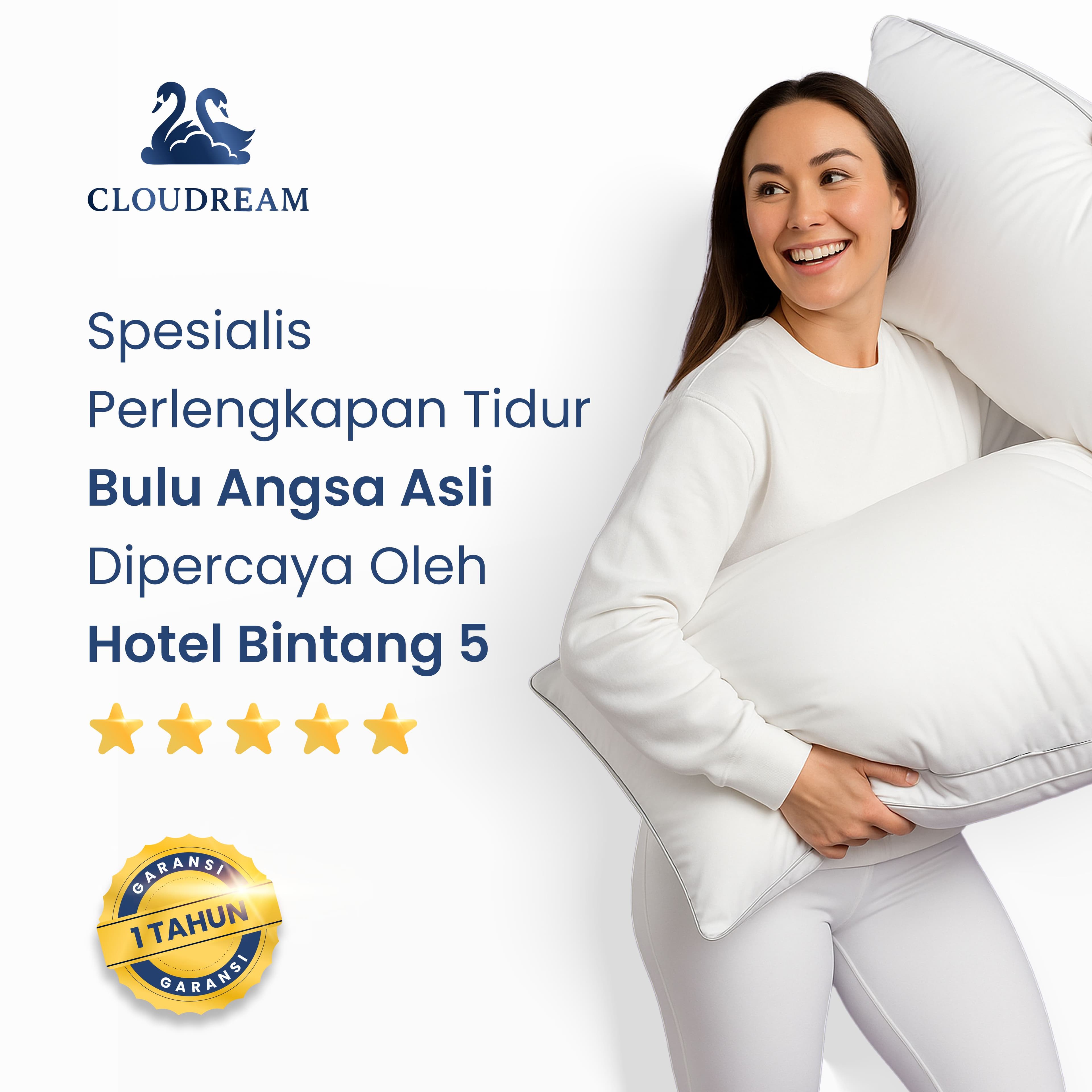 Cloudream Atelier